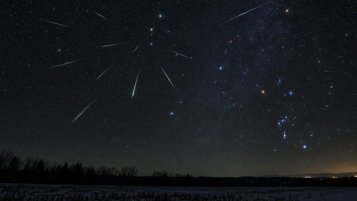 Illustration of several meteors streaking out from one point in a dark winter sky above an open field
